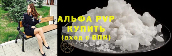 ECSTASY Гусь-Хрустальный