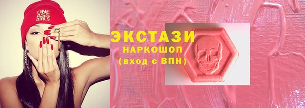 ECSTASY Гусь-Хрустальный