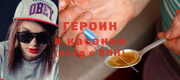 индика Гусев
