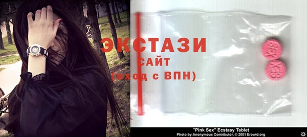 ECSTASY Гусь-Хрустальный