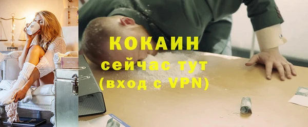 индика Гусев