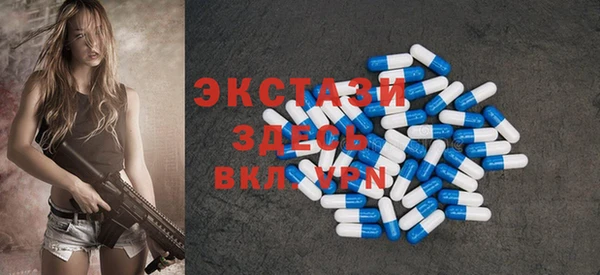 индика Гусев