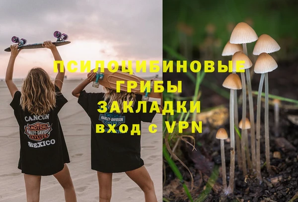 индика Гусев