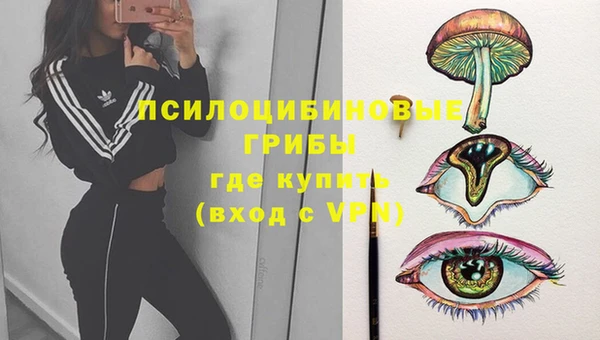 ECSTASY Гусь-Хрустальный