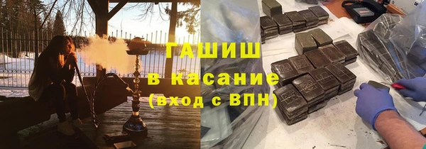 индика Гусев