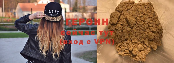 индика Гусев