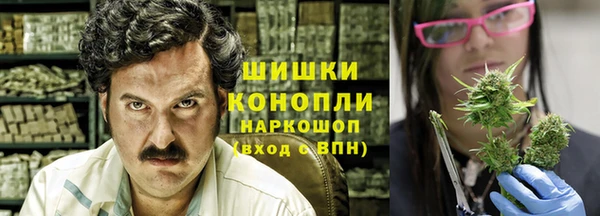 индика Гусев