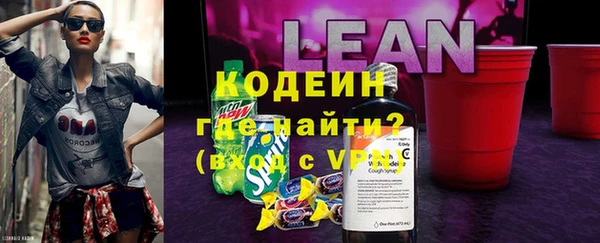 индика Гусев