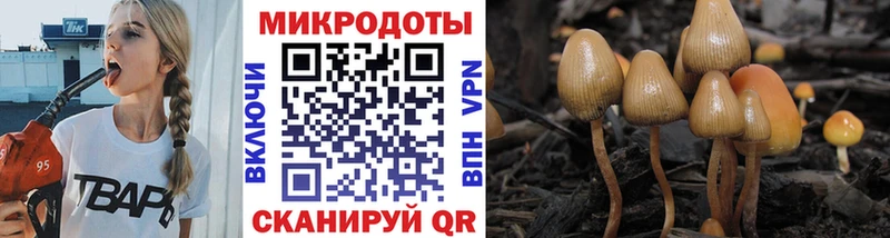 Купить где  Киселёвск  Галлюциногенные грибы Psilocybe 