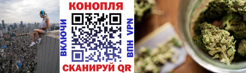 Каннабис планчик  Купить закладки  Киселёвск 